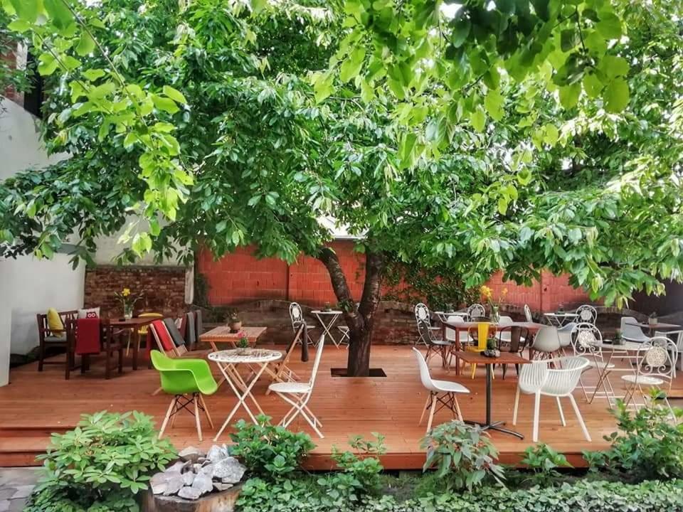 Casa Miron 1 Lägenhet Timişoara Exteriör bild
