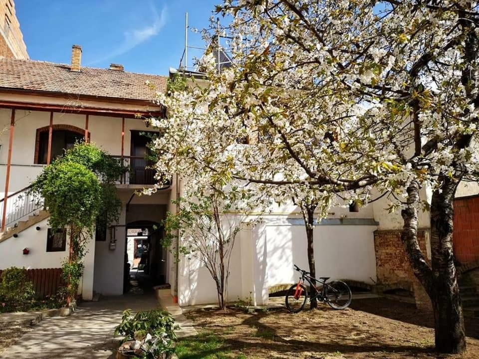 Casa Miron 1 Lägenhet Timişoara Exteriör bild